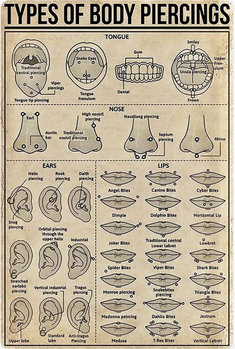 Figgerits The most popular part of the body for piercings Answer.